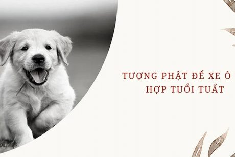 tuong-phat-de-xe-oto-hop-tuoi-tuat