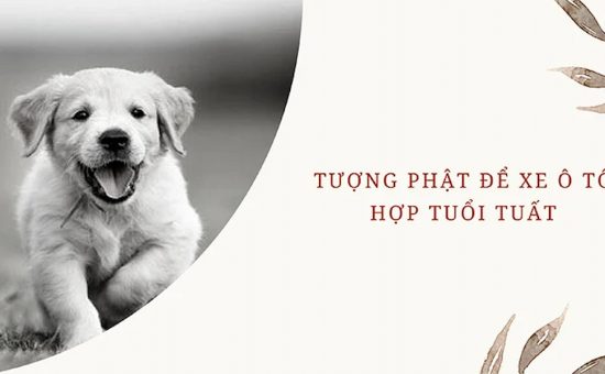 tuong-phat-de-xe-oto-hop-tuoi-tuat